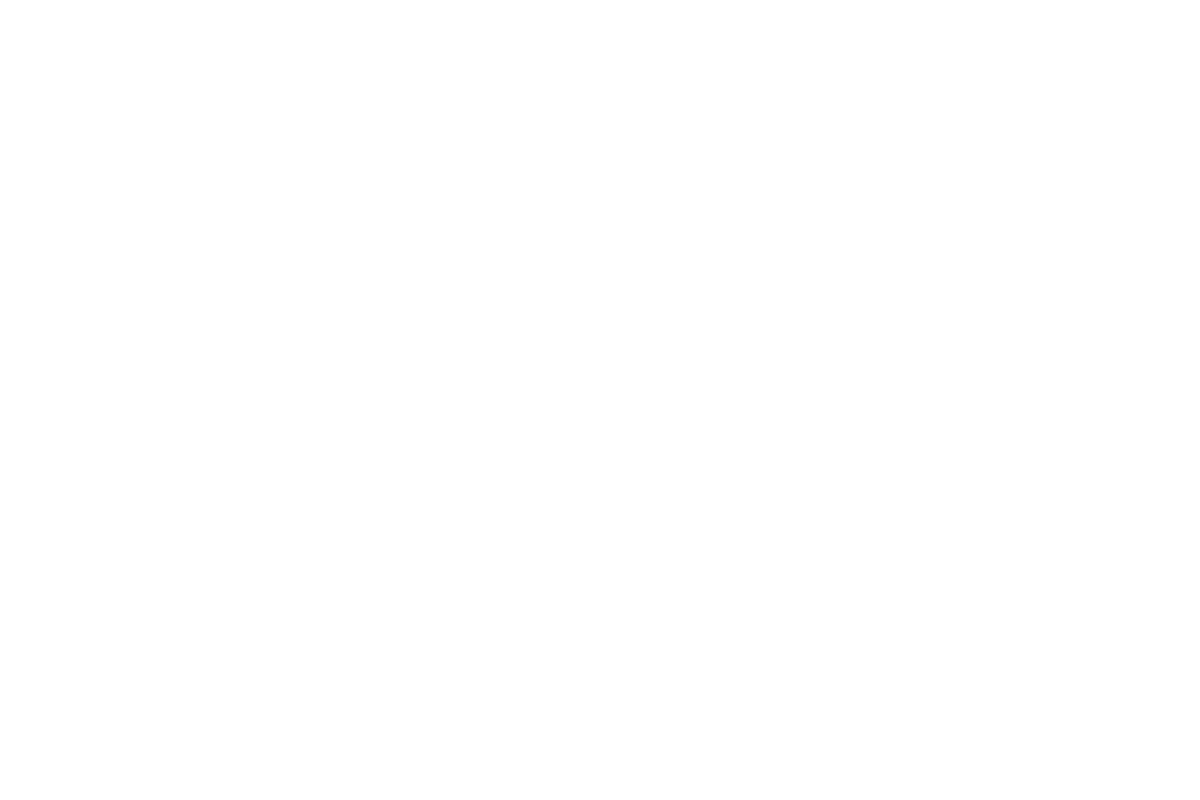 Logo Renascer